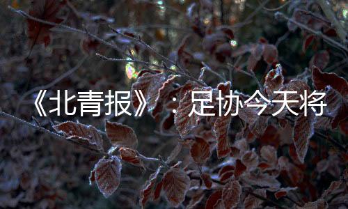 便利各与会代表往返出行