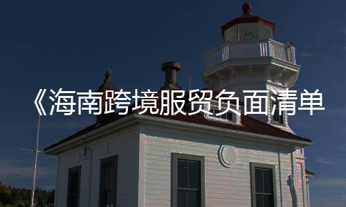 图为海口市滨海城市景观