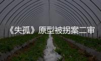 《失孤》原型被拐案二审开庭：受害人提供新线索，被告人相互推诿