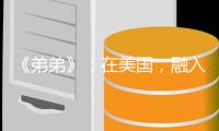 《弟弟》：在美国�，融入主流是华裔少年的唯一选择吗？