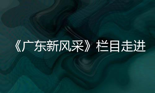 此项调查汇总和公告宣传工作