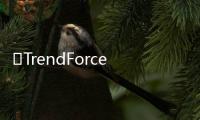 ​TrendForce：新技术产品带动QD