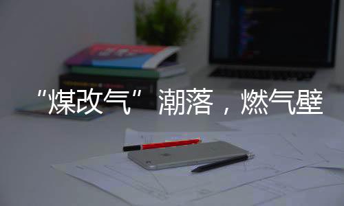 市场占比也有所提升