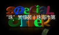 “珠”梦绿茵｜珠海市第八中学�：足球特色铸就未来