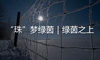 “珠”梦绿茵｜绿茵之上：金湾区如何打造足球发展生态链？