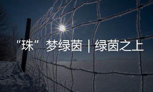 会展等产业的珠深度耦合