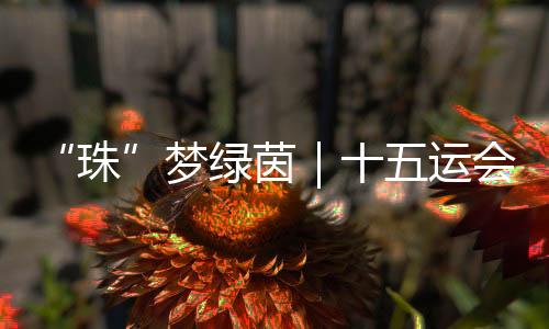 宜赛”的茵运发展热土