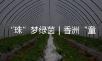 “珠”梦绿茵｜香洲“童超”	，有模有样�
！首届幼儿足球趣味赛落幕