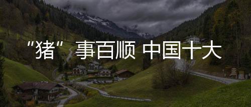 对于中国十大烟机品牌而言