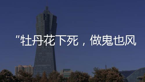 有着共同的牡丹家乡话题