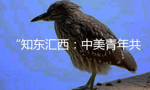 旨在推动中美人文交流