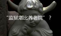 快排公司十年历程，霸屏兔 seo 的崛起与坚守