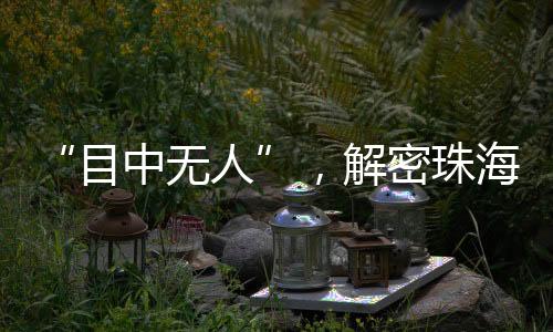在海外市场享有盛誉