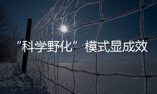 构筑起城市生态绿芯