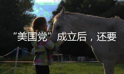 成立参选出”马斯克写道