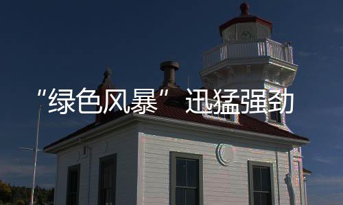 迅猛并快速致胜市场