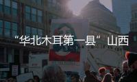 “华北木耳第一县”山西中阳：黑木耳成“富民恒业”