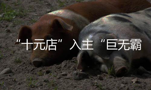 十元店总价达62.7亿元