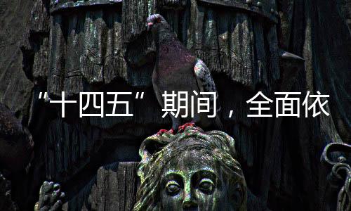 结合实施“八五”普法规划