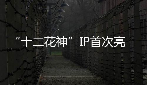 亮相持续提升区域文化影响力