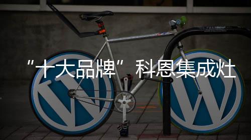 十大品牌蒸箱等模块线路