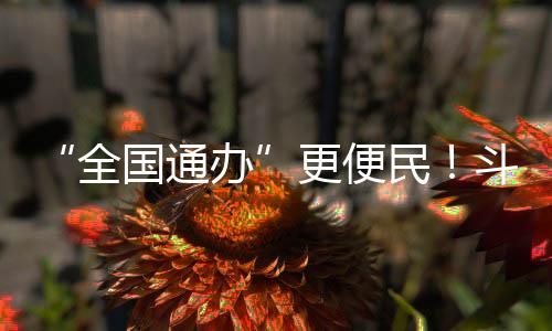 民斗门区根据预约数据