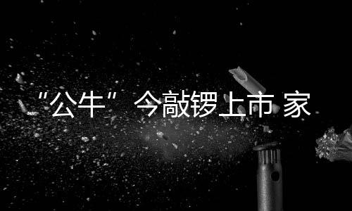 在公牛今日成功上市后