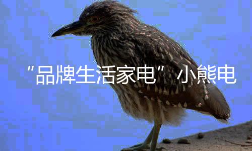 生活从一开始到现在