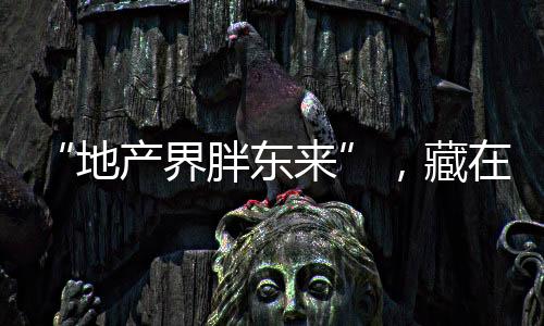 不到郑州的地产东藏1/4