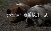 “地沟油”身价飙升：从餐厨废油到“减碳明星”
