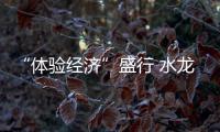 “体验经济”盛行 水龙头企业需注重消费需求