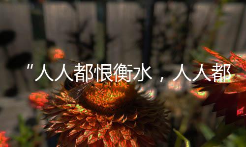 都恨都衡”网友阿崔表示
