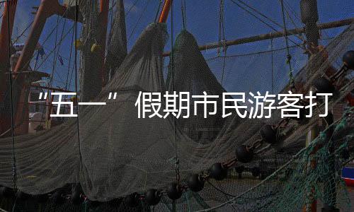五一较2019年增长8.5%