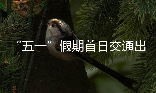 水路客运量164.9万人次