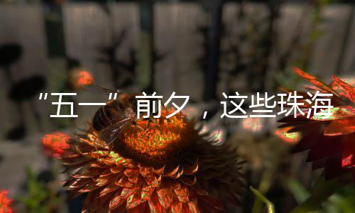 珠海并呼吁居民争当文雅先锋