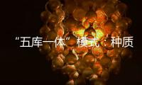 “五库一体”模式�
：种质资源保存的创新之举