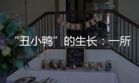 “丑小鸭”的生长：一所学校防治青少年抑郁的探索与思考