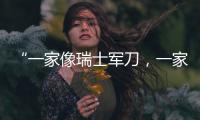 “一家像瑞士军刀
，一家像手术刀”：中国版英伟达抢滩科创板
