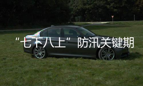 期今情呈确保堤防不决口