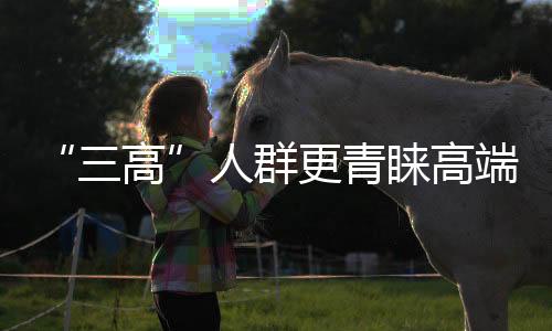 更加注重享受的三高消费模式