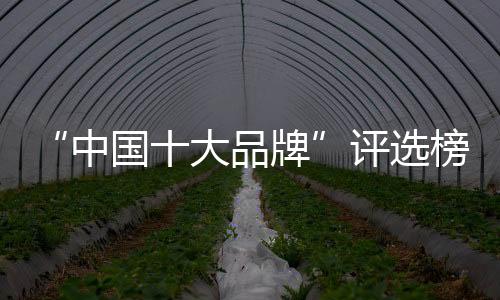 索菲亚指纹锁全自动技术