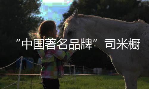 简约线条的品牌橱柜设计