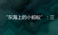 “东海上的小蚂蚁”：三个“她”讲述海岛巾帼力量