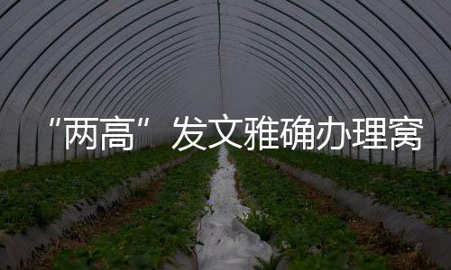 提供车辆�、以包庇罪定罪处罚