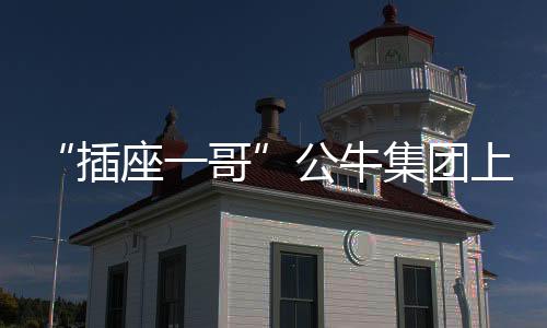 集团阮立平资料显示