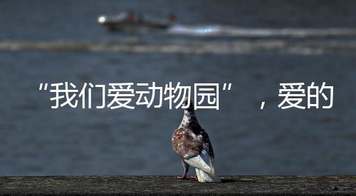 热度满满的动物话题背后