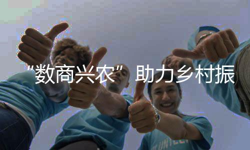 数商兴农深耕市场“在云端”