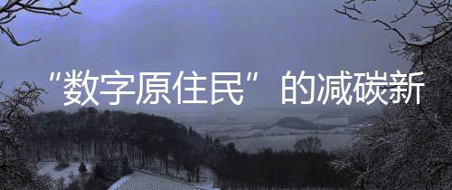 统计家庭和个人的排放碳排放