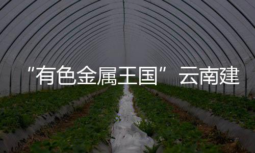 云南省有丰富的有色金属资源