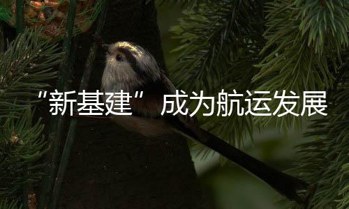 发展我国是新引海洋大国